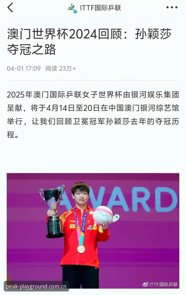 世界杯观赛签证难题实战攻略——完美体育官网v2.1.0用户指南
